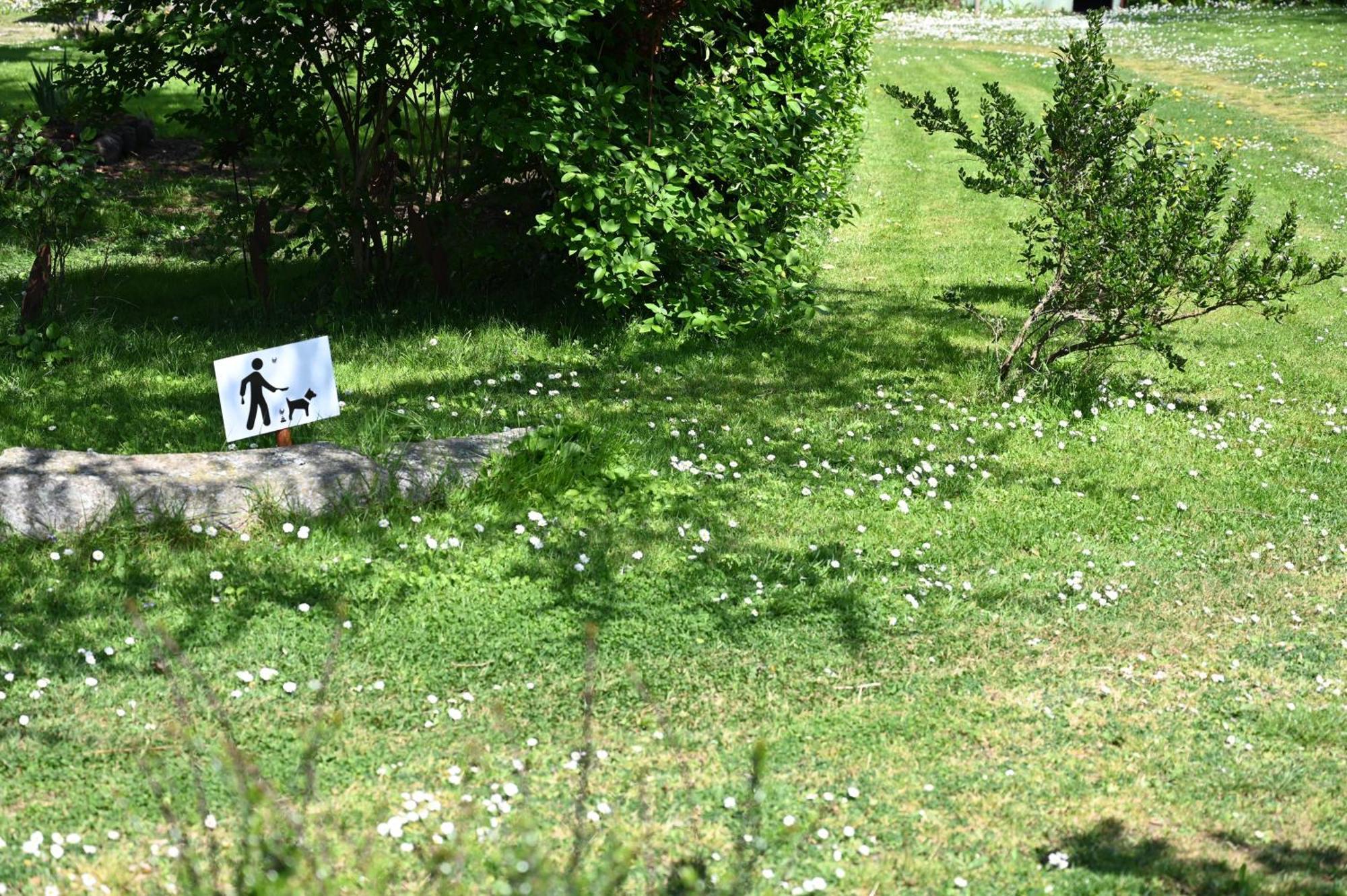 Hotel La Demeure Du Perron Quettehou Esterno foto
