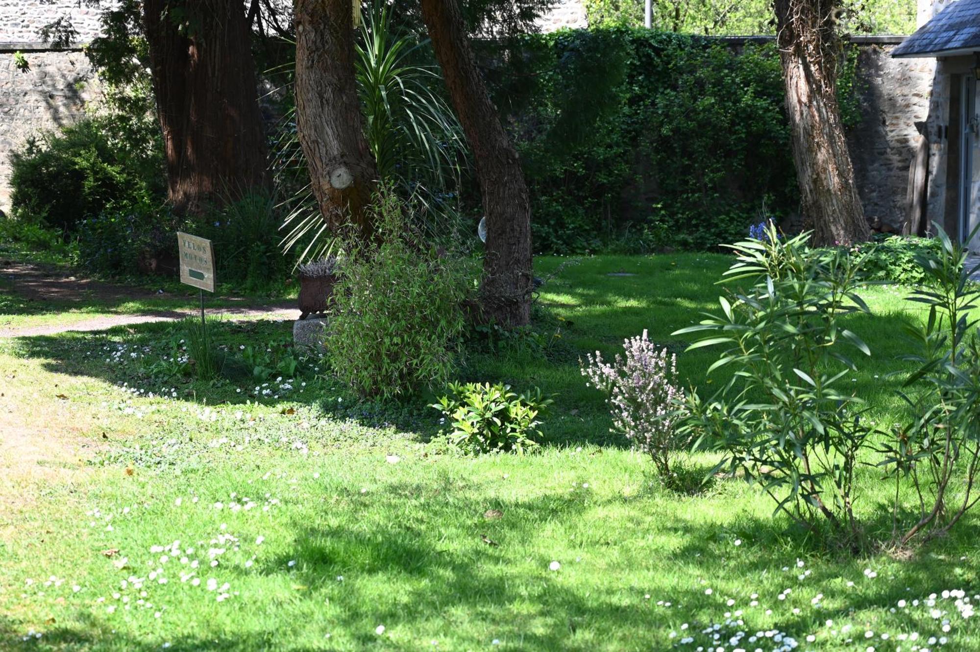 Hotel La Demeure Du Perron Quettehou Esterno foto